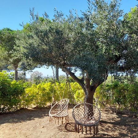 Locanda Degli Scrittori Αγκριτζέντο Εξωτερικό φωτογραφία