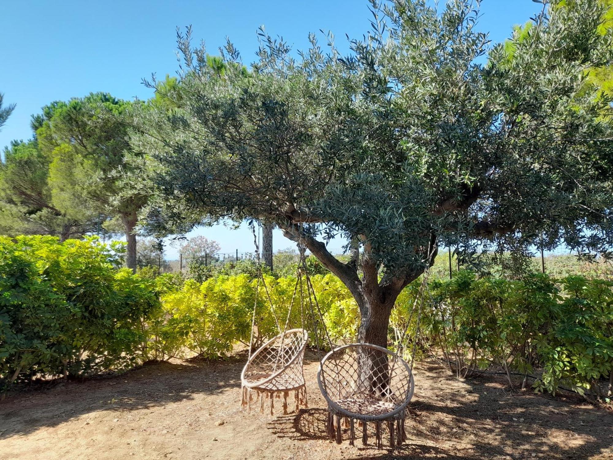 Locanda Degli Scrittori Αγκριτζέντο Εξωτερικό φωτογραφία
